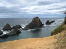 PICTURES/Oregon Coast Road - Seal Rock State Park/t_IMG_6408.jpg